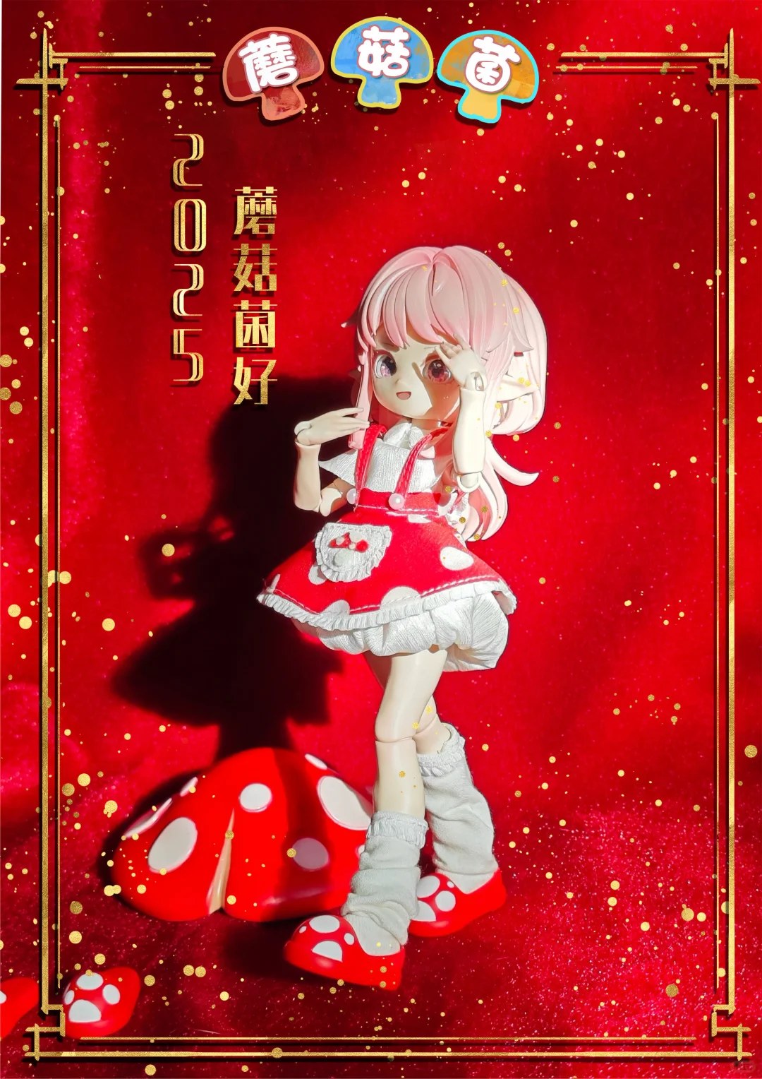 蘑菇菌 图集