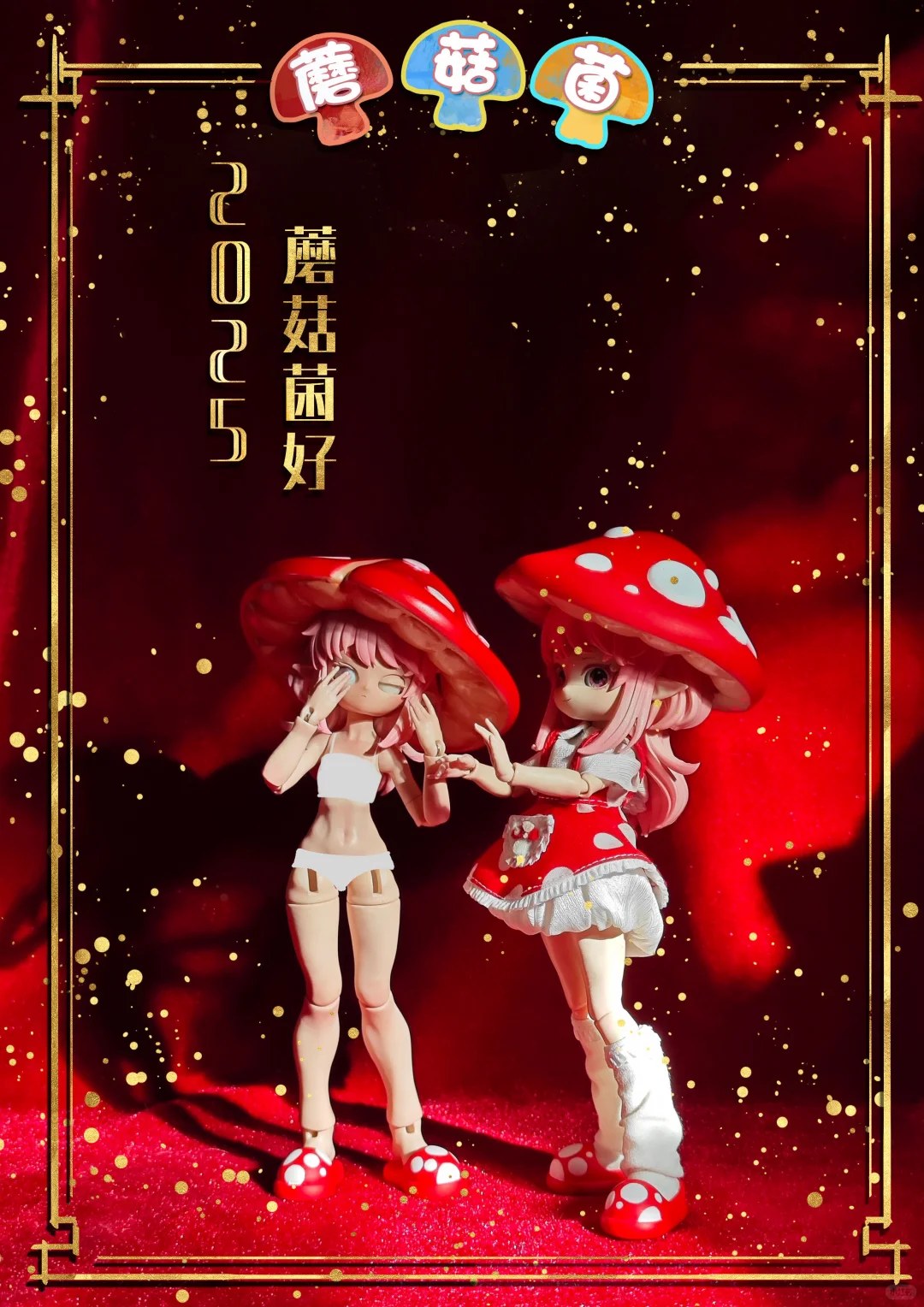 蘑菇菌 图集
