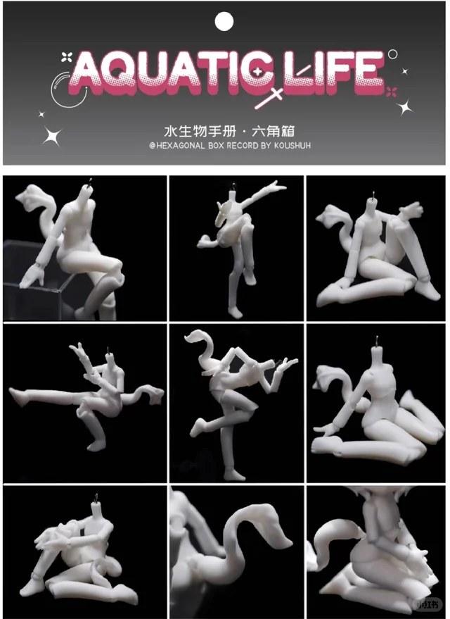 水生物手册